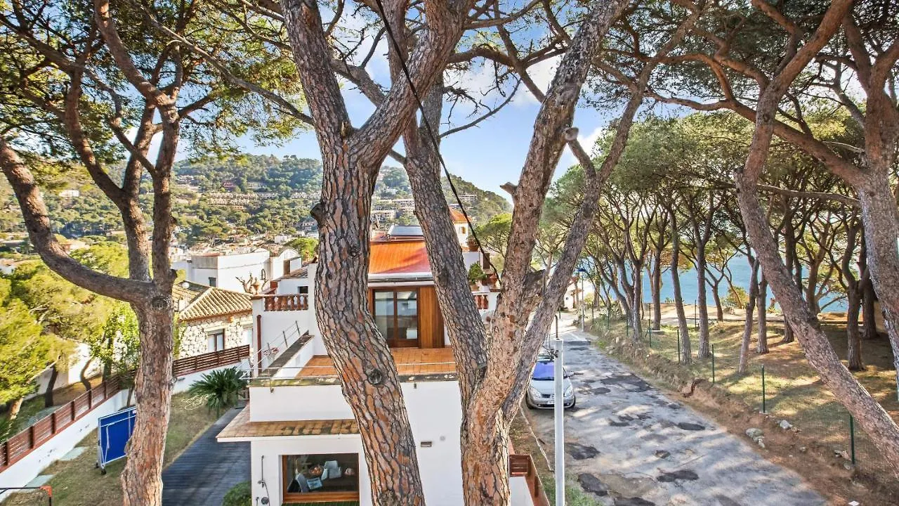 Appartement Anc 09 - Llafranc
